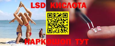 сатива Кандалакша