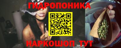 гидропоника Камышлов