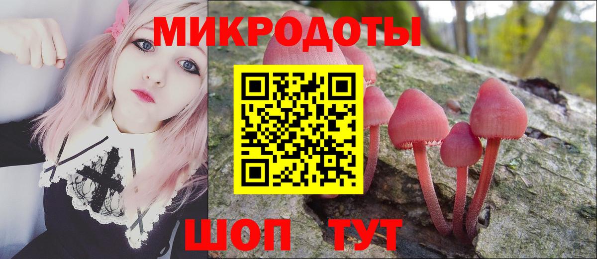 Кашира  продажа наркотиков  Вход с VPN  Псилоцибиновые грибы мицелий 