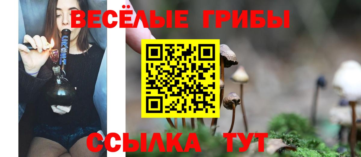Галлюциногенные грибы Magic Shrooms Кашира